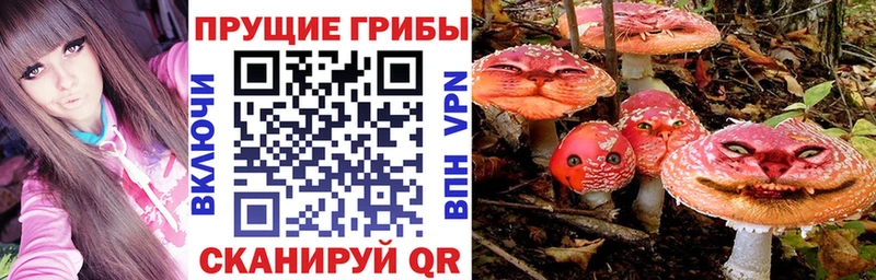 наркотики  Удачный  Псилоцибиновые грибы мухоморы 