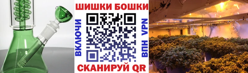 где купить наркоту  МЕГА вход  нарко площадка какой сайт  Удачный  Канабис White Widow 
